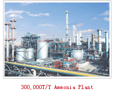 300,000T/Y Ammonia Plant