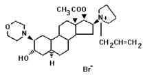 Rocuronium Bromide